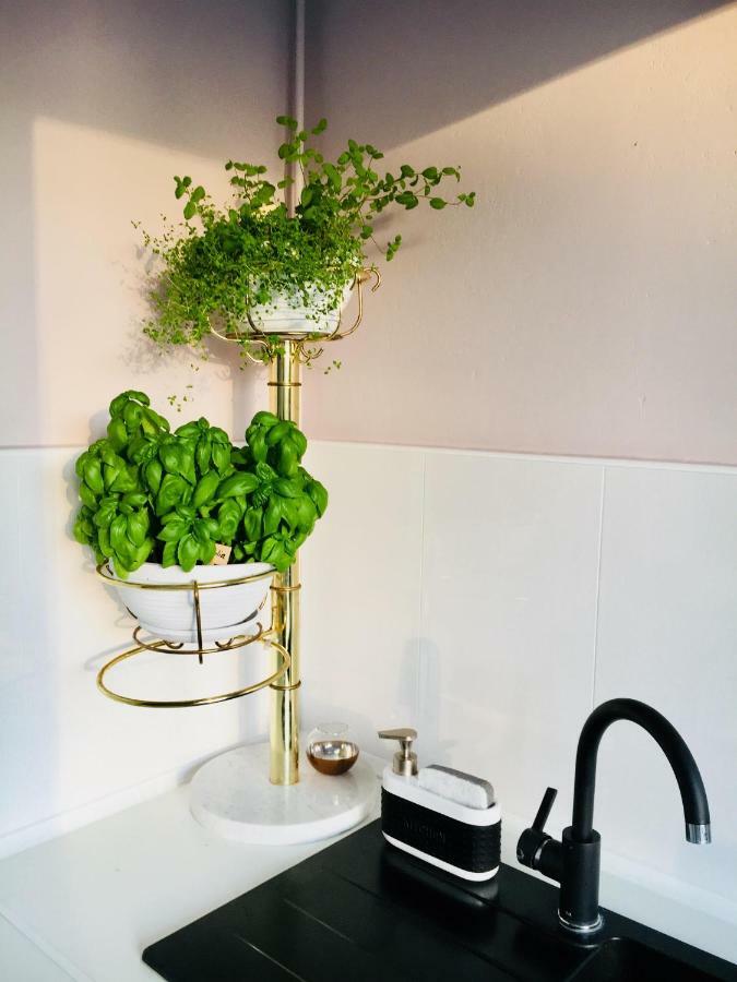 Apartamenty Ogrodowa - Lublin 700 Extérieur photo